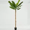 Décoration^Flamant Bananier, Plante