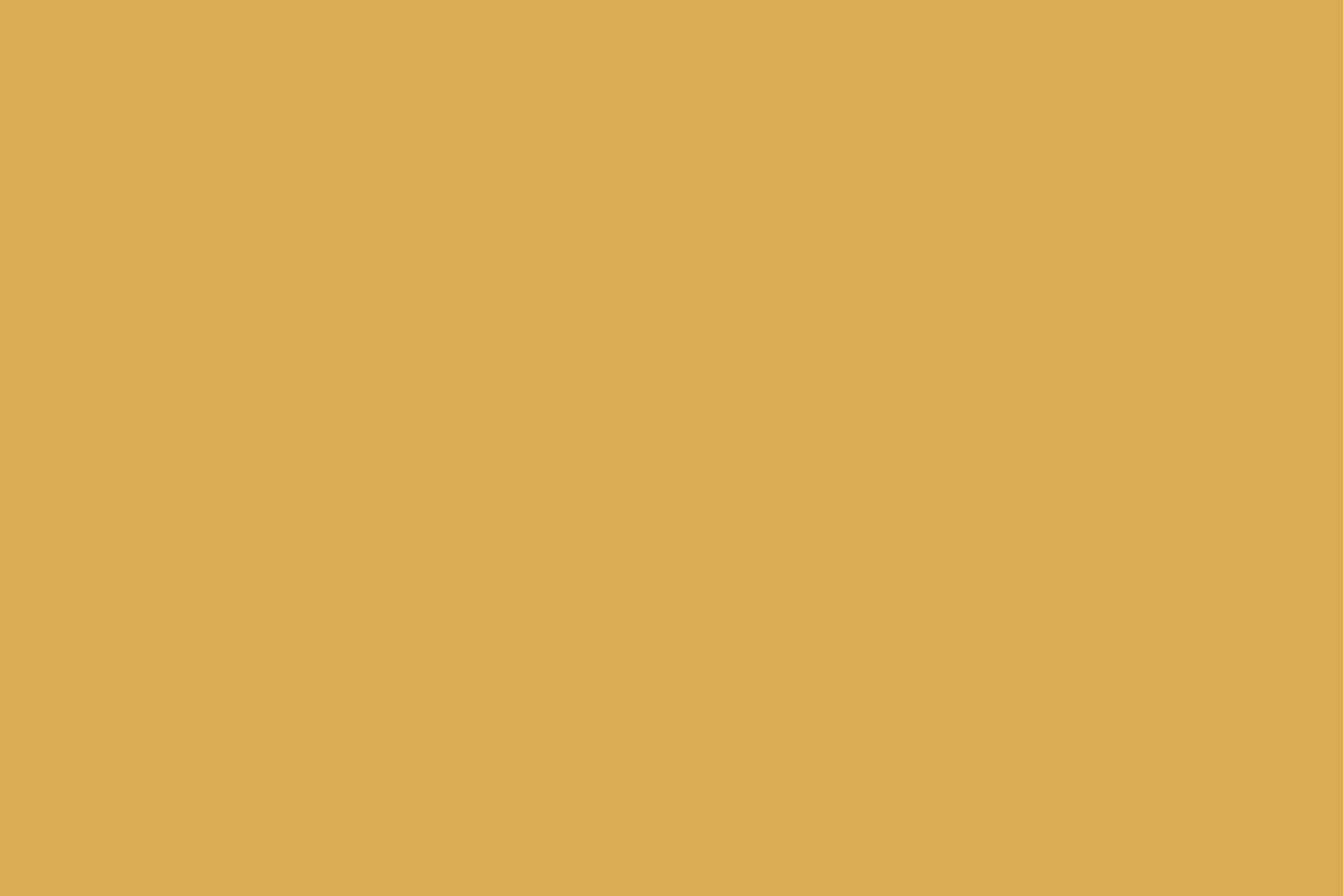 Jaune Orange^Flamant Bikini