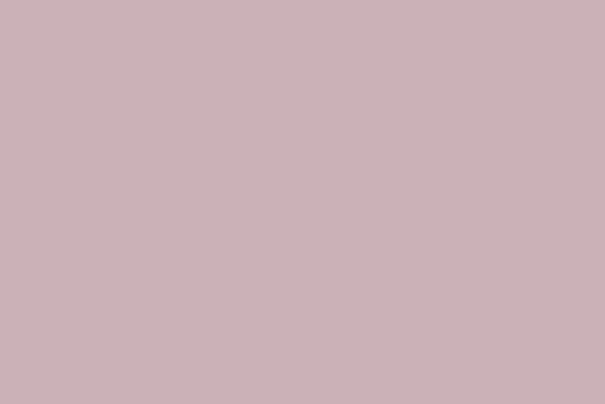 Rose / Parme^Flamant Cadillac