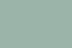 Vert^Flamant Jade