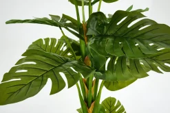 Fete Des Meres^Flamant Plante Monstera, Plante