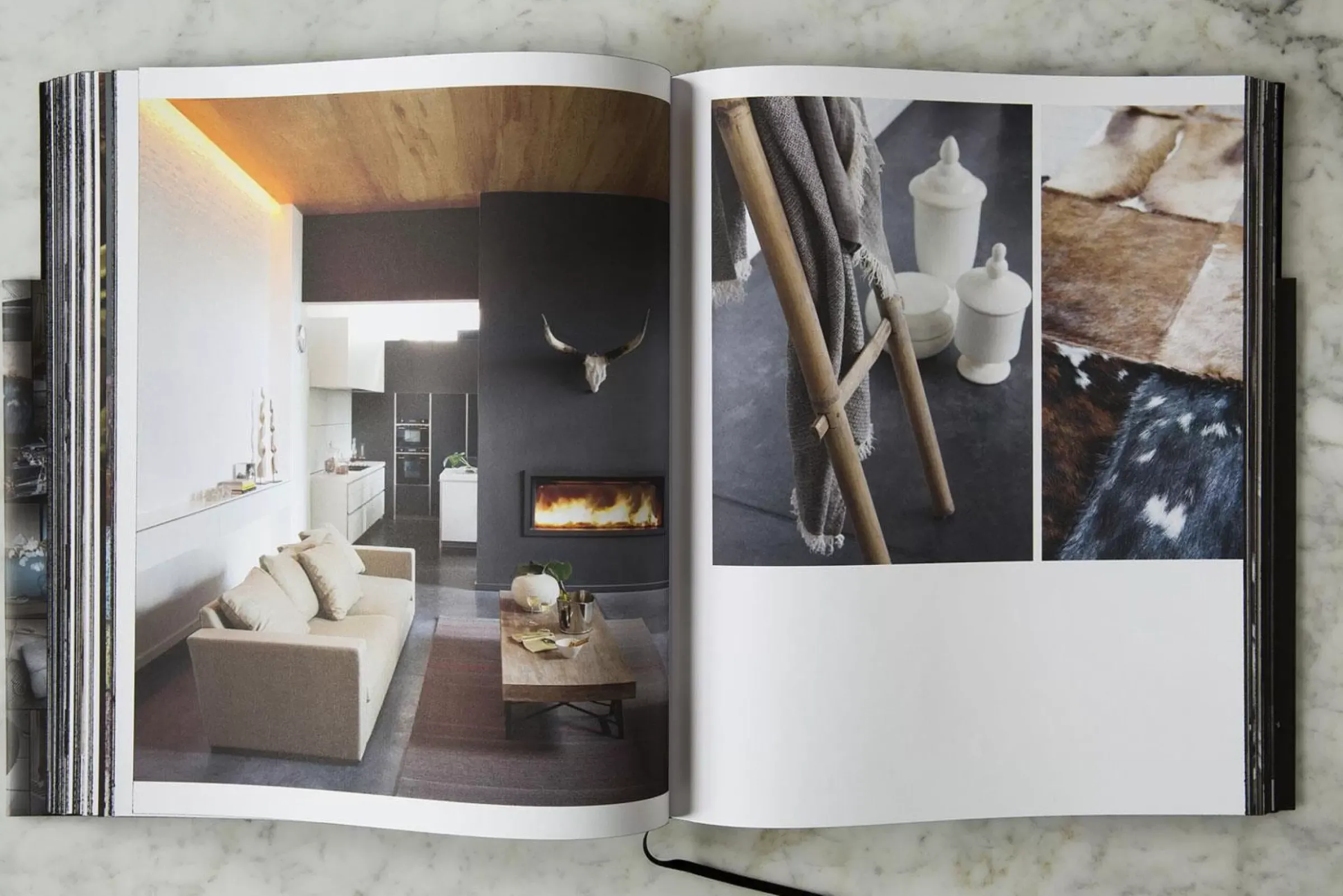 Fete Des Meres^Flamant Portraits D'Interieur, Livre, Luxe, Avec Inspirations