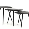 Table A Cafe^Flamant Robyn, Table D'Appoint, Teck Recupere, Ronde, Ensemble De 3