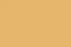 Jaune Orange^Flamant Soleil